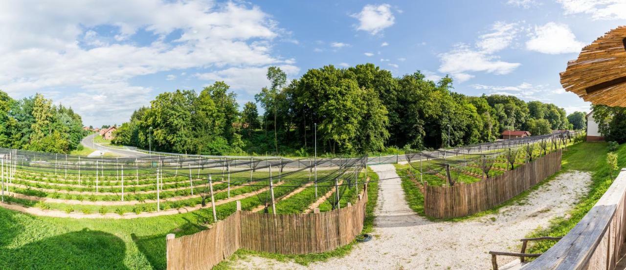 Apartma Zemljanka Ljutomer ภายนอก รูปภาพ